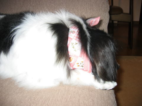 101_01041.jpg